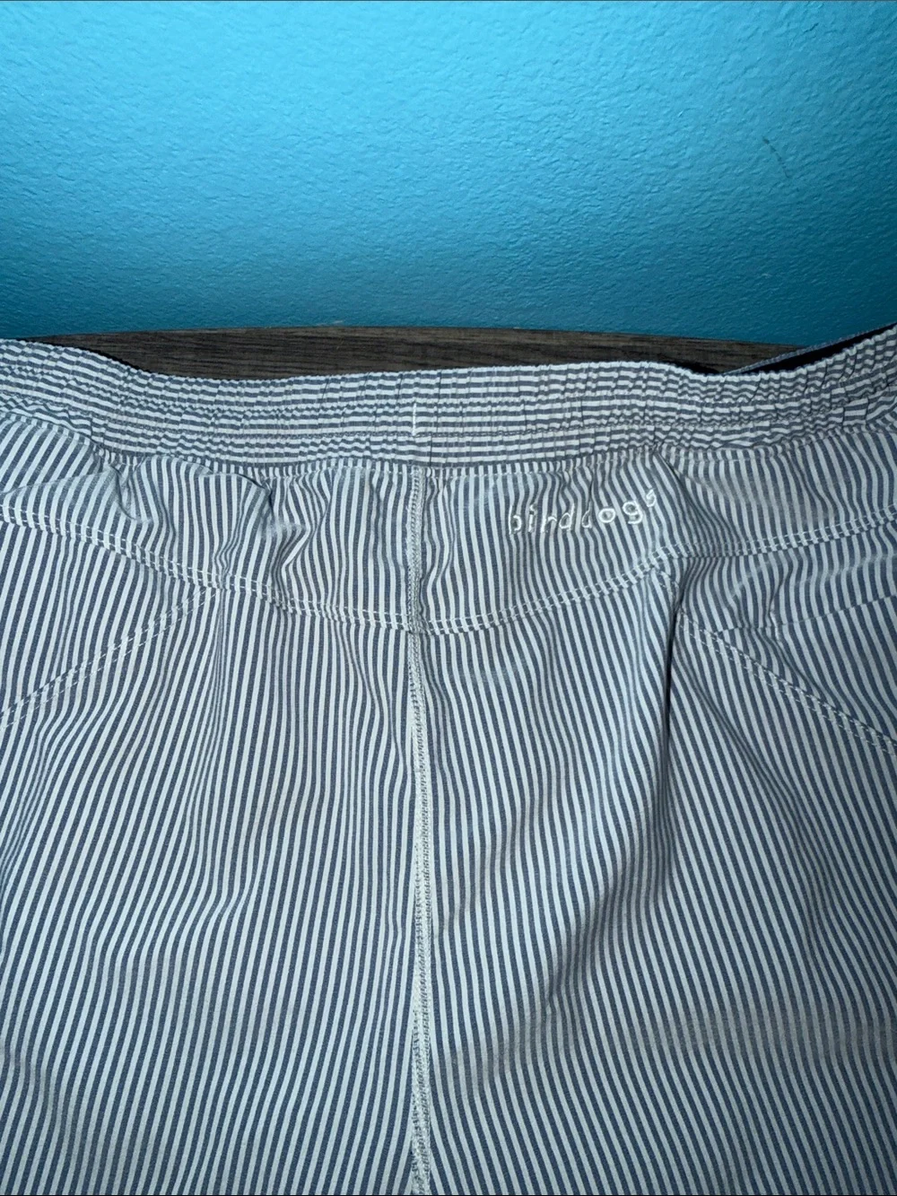 Men's Birddogs Size L Light Blue Striped Swim Shorts